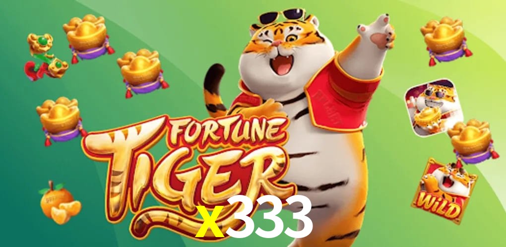 Experiência VIP x333